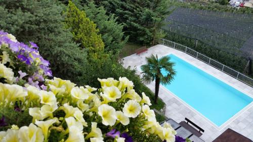 Garden, Pension Weinberg in Riffiano - Riffian