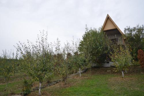 Negovanovic vikendica in Koceljeva