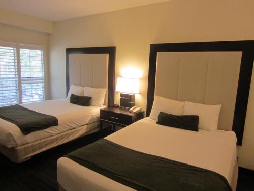 Arena Hotel: Image #3 of 20