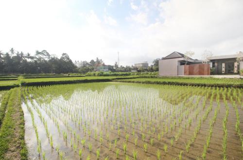 Photo - Vila Padma Bali at Sayan - Ubud, A Trishula Collection