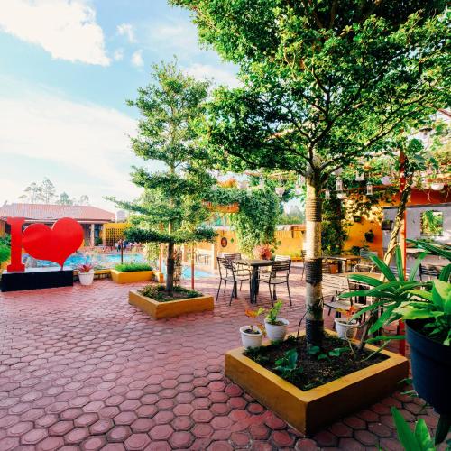 Dārzs, Martin Anugrah Hotel & Restaurant in Siborongborong