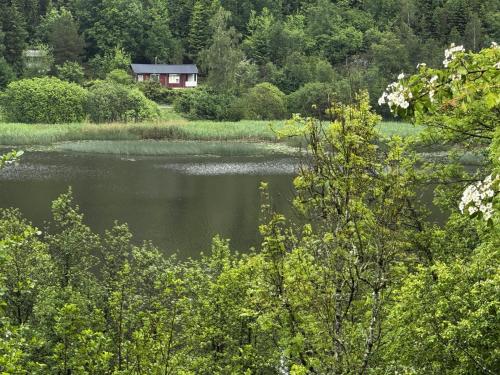 Cozy wilderness cabin at Kynnefjäll close to lake SE09081, Hällevadsholm
