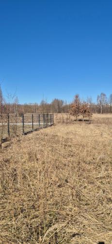 Studio w Lesie in Skarzysko Kamienna