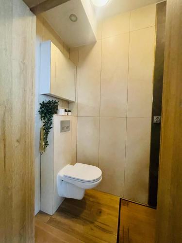 Luxury Apartments, Breslau (Foto 5)