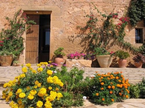 B&B Manacor - Finca Sa Cova Vella - Bed and Breakfast Manacor