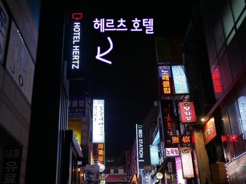 헤르츠호텔