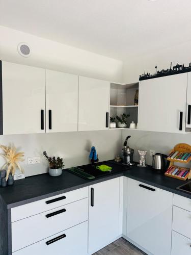 Kitchen, FeWo S26 in Bieber