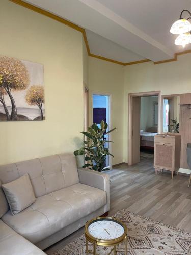 Fictus Stay, Tirana