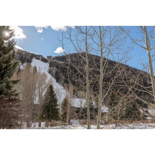 Twin Lodge 337 & 338 - Liftside and Hot Tubs Access - image 5