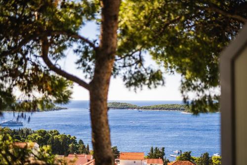 Anna in Hvar * Mittel-Dalmatien, Hvar (zdjęcie 9)