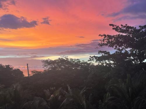 منظر, Tres Palmas Boutique Hotel in رينكون