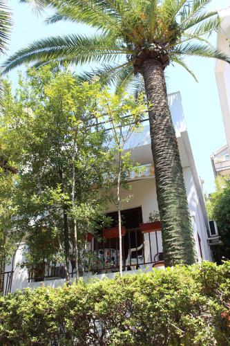 Guest House Goca - image 5