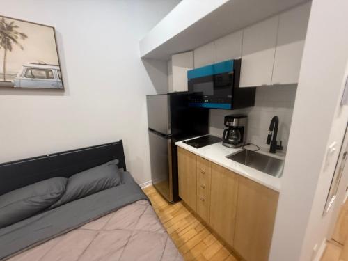 Well located studio apartment with parking near downtown Montreal near Fruiterie Papaye ET Mangue
