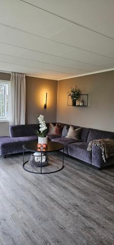 Nordic villa with outdoor jacuzzi and Aurora Borealis view in Vikran