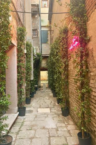 Palazzo Titti Rialto Suites - image 2