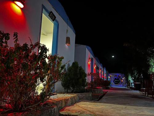 Gammal Boutique Camp in Nuweiba