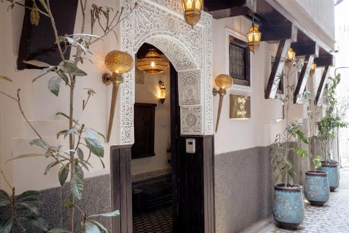 Riad Joy - image 3