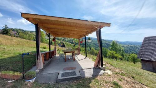 Casa din deal-Apuseni in Horea