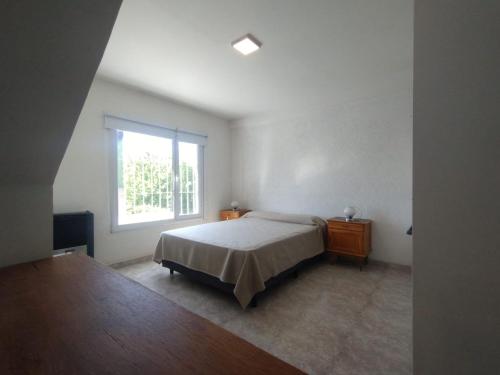 TERREdO in 네우켄