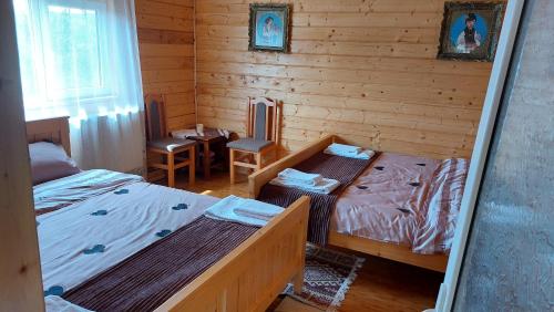 Casa din deal-Apuseni in Horea