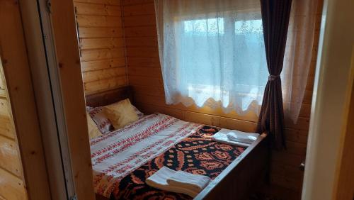 Casa din deal-Apuseni in Horea