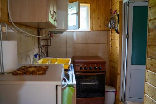 Casa din deal-Apuseni in Horea