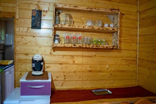 Casa din deal-Apuseni in Horea