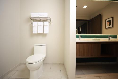 Holiday Inn Saint Louis-Fairview Heights an IHG Hotel - image 26