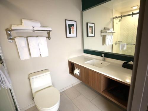 Holiday Inn Saint Louis-Fairview Heights an IHG Hotel - image 18