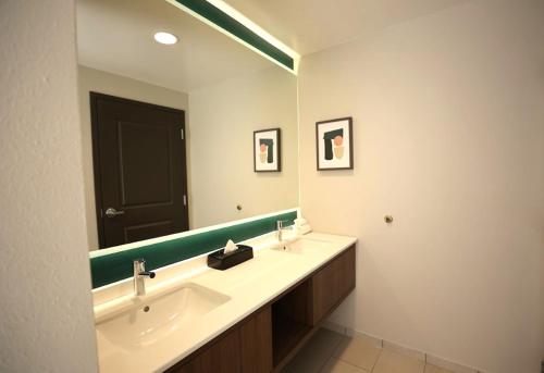 Holiday Inn Saint Louis-Fairview Heights an IHG Hotel - image 27