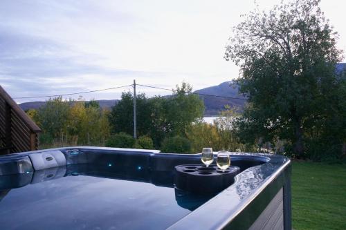 Karstais baseins, Nordic villa with outdoor jacuzzi and Aurora Borealis view in Vikran