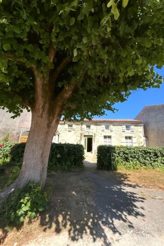 Gîte Le Logis du Tilleul gîte à louer Plassay
