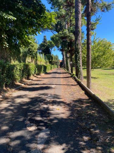 المنطقة المحيطة, Struttura Religiosa Via Francigena Velletri in فيليترى