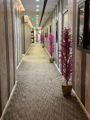 راحتي هنا in Al Batha