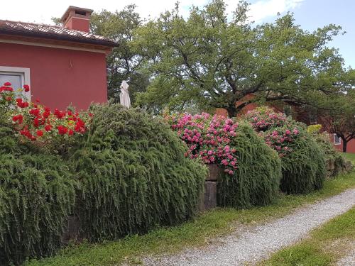 Tenuta Col di Sasso