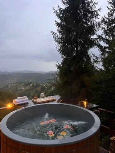 المنطقة المحيطة, Висота 890 in Volosyanka