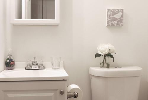 Fasiliteter, Entire Comfy Studio @Charles Village -5min frm JHU in Charles Village