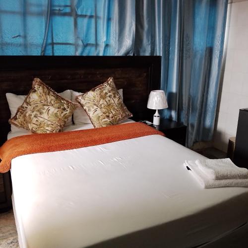 Palm Inn Boutique Palapye in Palapye