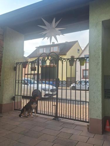 Zentrale Fewo zwischen Heidelberg und Mannheim in 埃丁根-內卡勞森