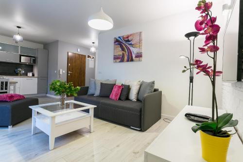 VIP Apartamenty Centrum