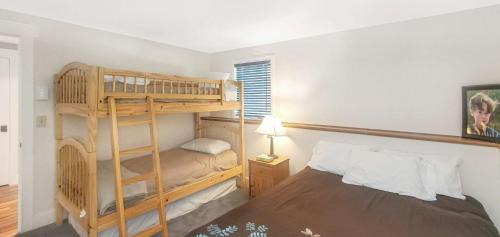 Great Escape Ski Lodge - image 5