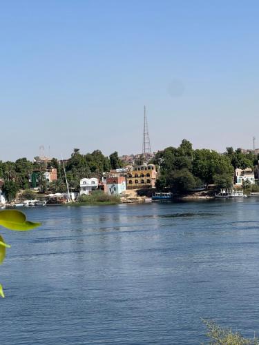 Aswan Holistic Hotel - image 2