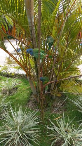 Hosteria Munay in San Miguel de Los Bancos