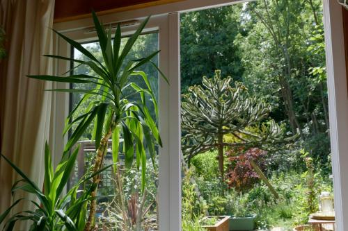 Spacious Cabin London Canary Wharf Free Parking B&B, Londyn (zdjęcie 9)
