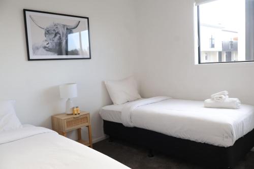 Cosy 2BR House in Carrington Rd, Auckland (fotografie 3)