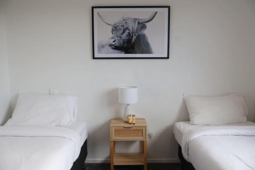Cosy 2BR House in Carrington Rd, Auckland (fotografie 6)