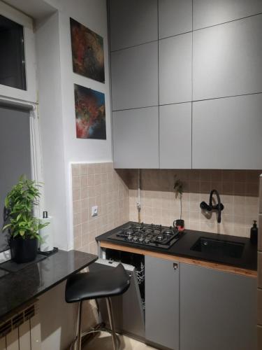 Dwupoziomowy Apartament w Centrum Miasta in Jaroslaw