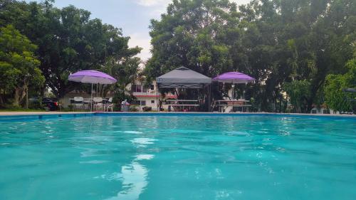 Hotel el Trebol, fotografia 4