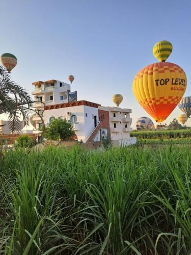 Flower of life guest house