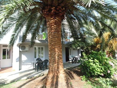 Garden, Apartments Macaso in Bar